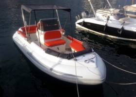 Novurania 600